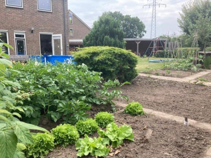 Twee-onder-een-kap, ruime tuin, stad Appartement Deventer Buitenkant foto