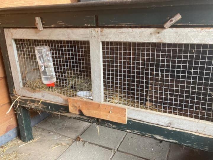 Twee-onder-een-kap, ruime tuin, stad Appartement Deventer Buitenkant foto