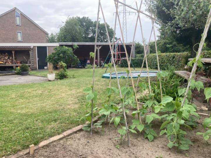 Twee-onder-een-kap, ruime tuin, stad Appartement Deventer Buitenkant foto